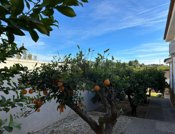 Detached villa for sale in , Riba-Roja de Túria photo 3