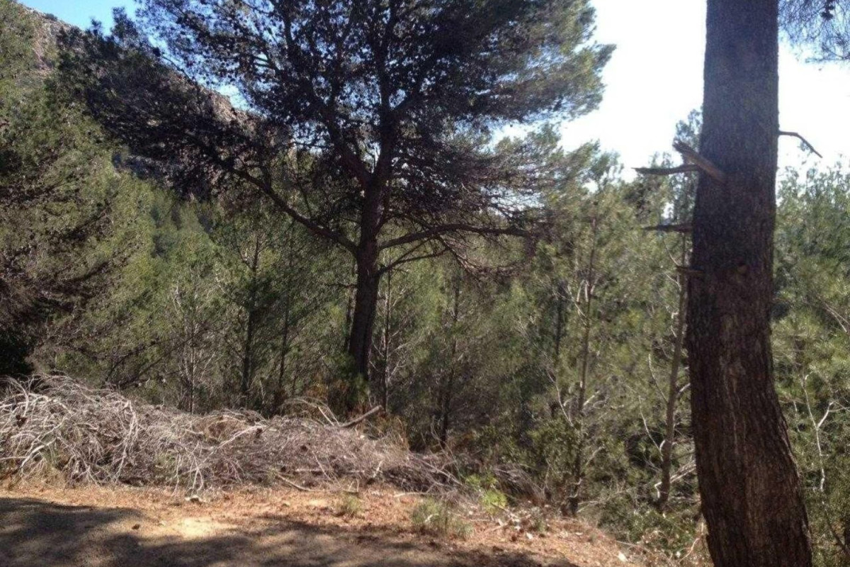 Terreno en venta en Jalón, Alicante photo 3
