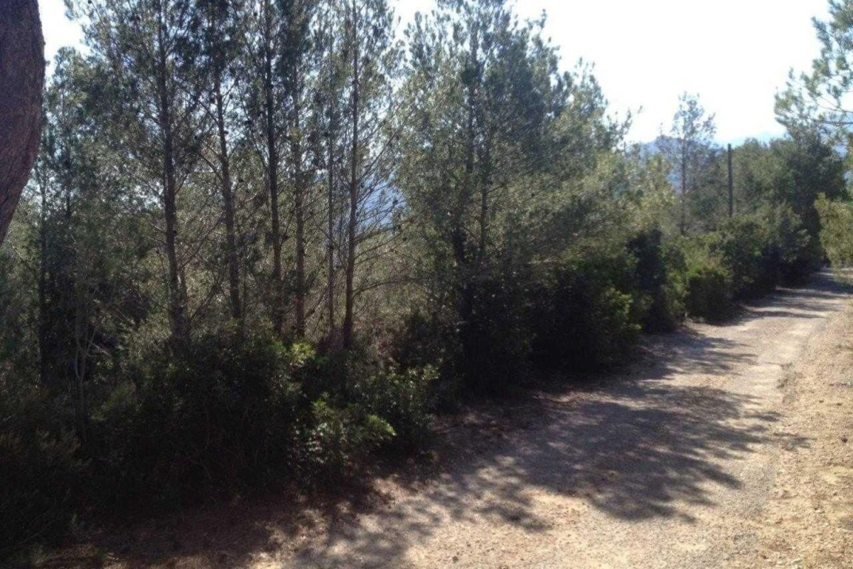 Terreno en venta en Jalón, Alicante photo 4