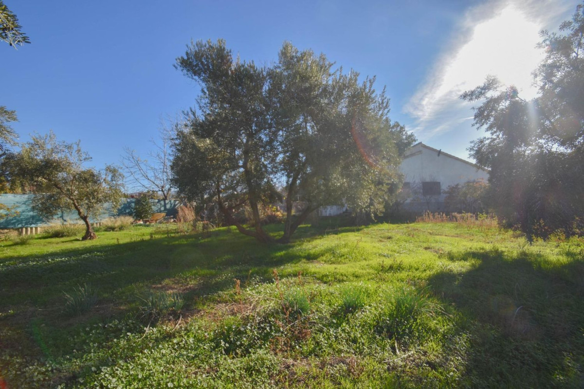 Venta de finca rústica en , Gojar photo 2