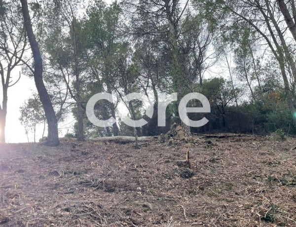 Terreno en venta en Sant Feliu del Racó photo 4