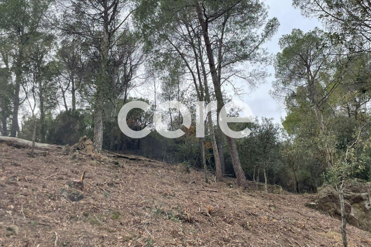 Terreno en venta en Castellar del Vallès, Barcelona photo 5