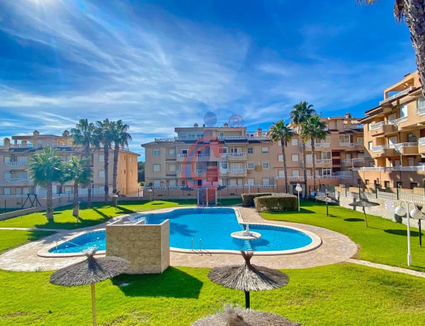 Bajo en venta en  Avenida de Cervantes, 68, Guardamar del Segura photo 2