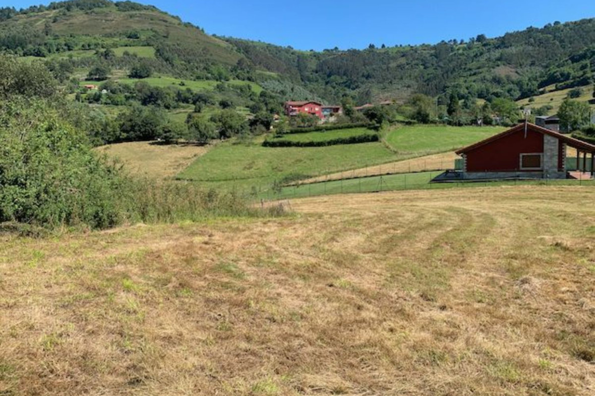 Terreno en venta en Sariego, Asturias photo 3