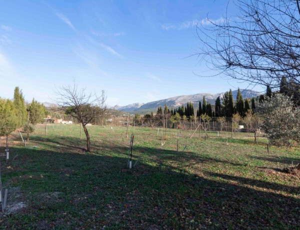 Casa rural en venta en Villanueva del Trabuco photo 3