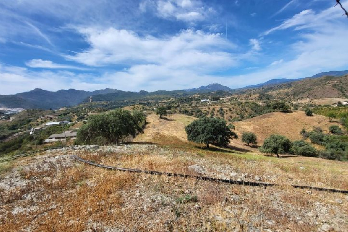 Działka na sprzedaż w Moneta, Malaga photo 1