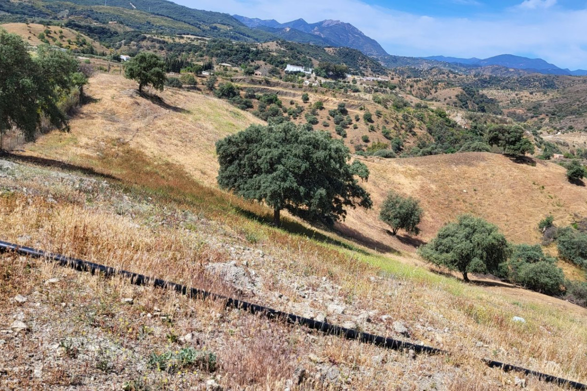 Działka na sprzedaż w Moneta, Malaga photo 3