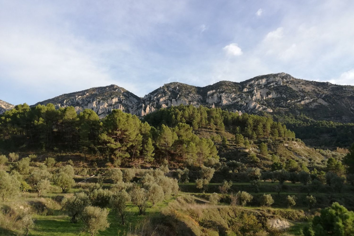Sale of townhouse in , Cuatretondeta photo 2
