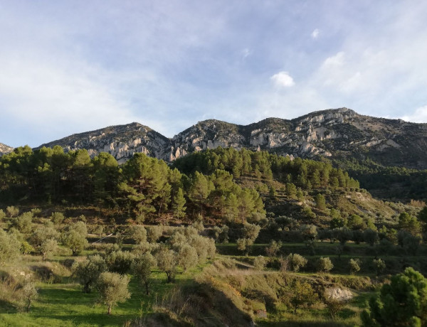 Terraced house for sale at , Cuatretondeta photo 2