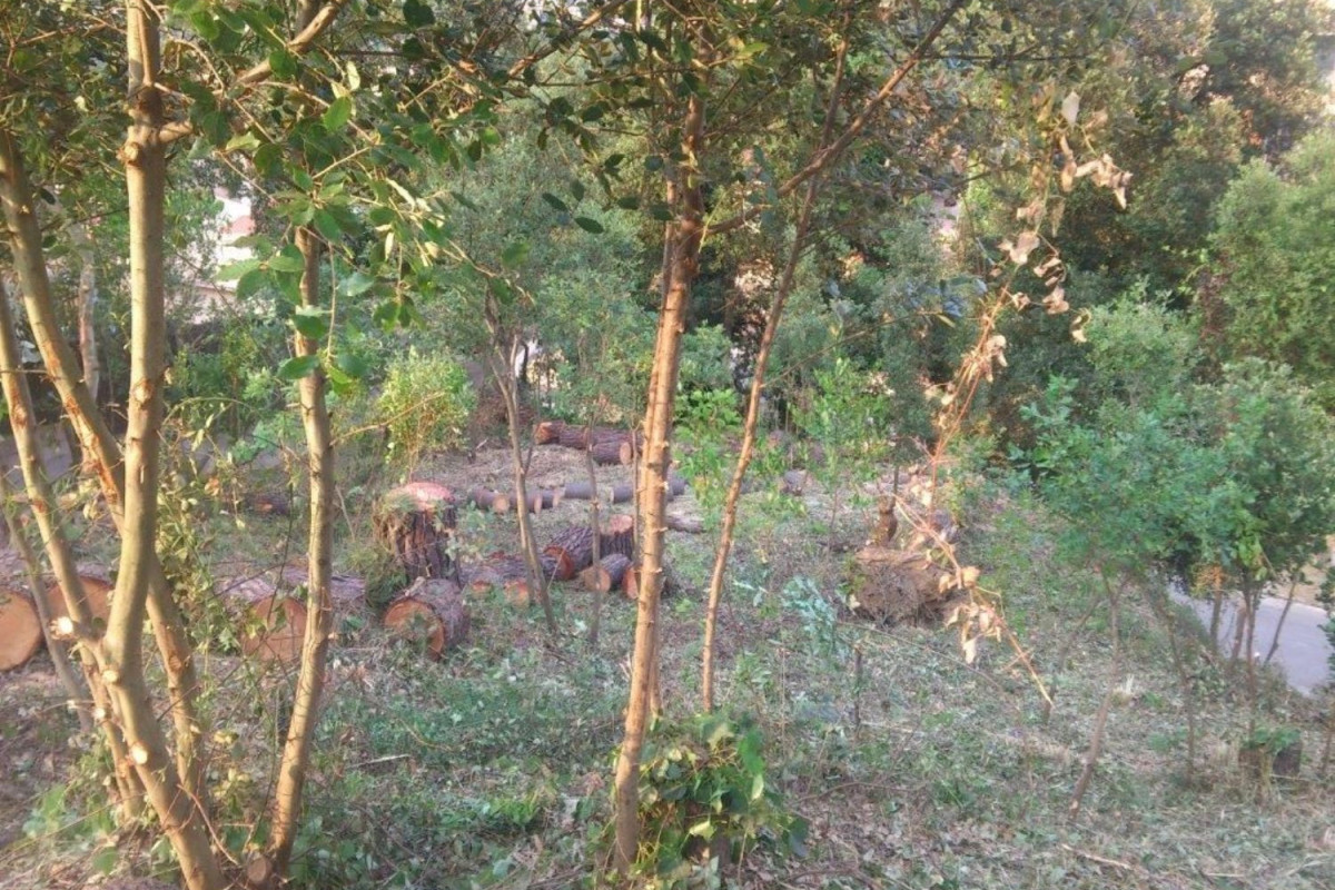 Terreno en venta en Sant Fost de Campsentelles, Barcelona photo 2