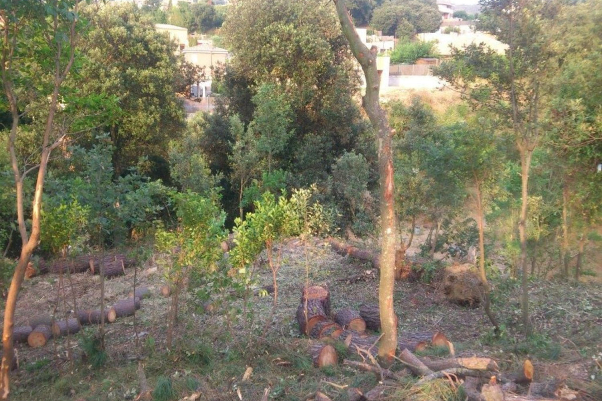 Terreno en venta en Sant Fost de Campsentelles, Barcelona photo 3