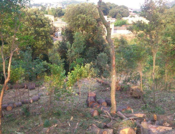 Terreno en venta en calle de la Pineda, 17 thumbnail 2