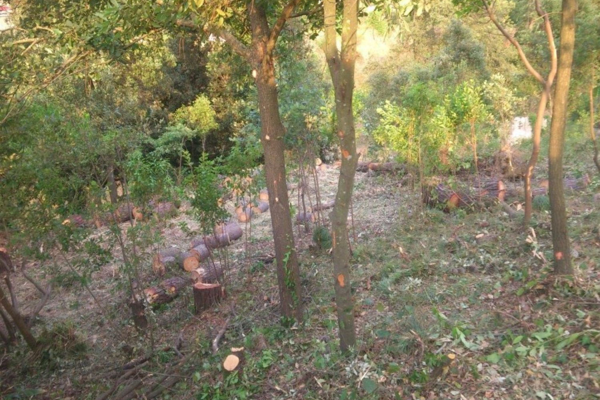 Terreno en venta en Sant Fost de Campsentelles, Barcelona photo 4
