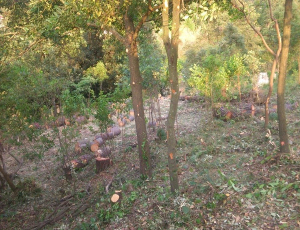 Terreno en venta en calle de la Pineda, 17 photo 4