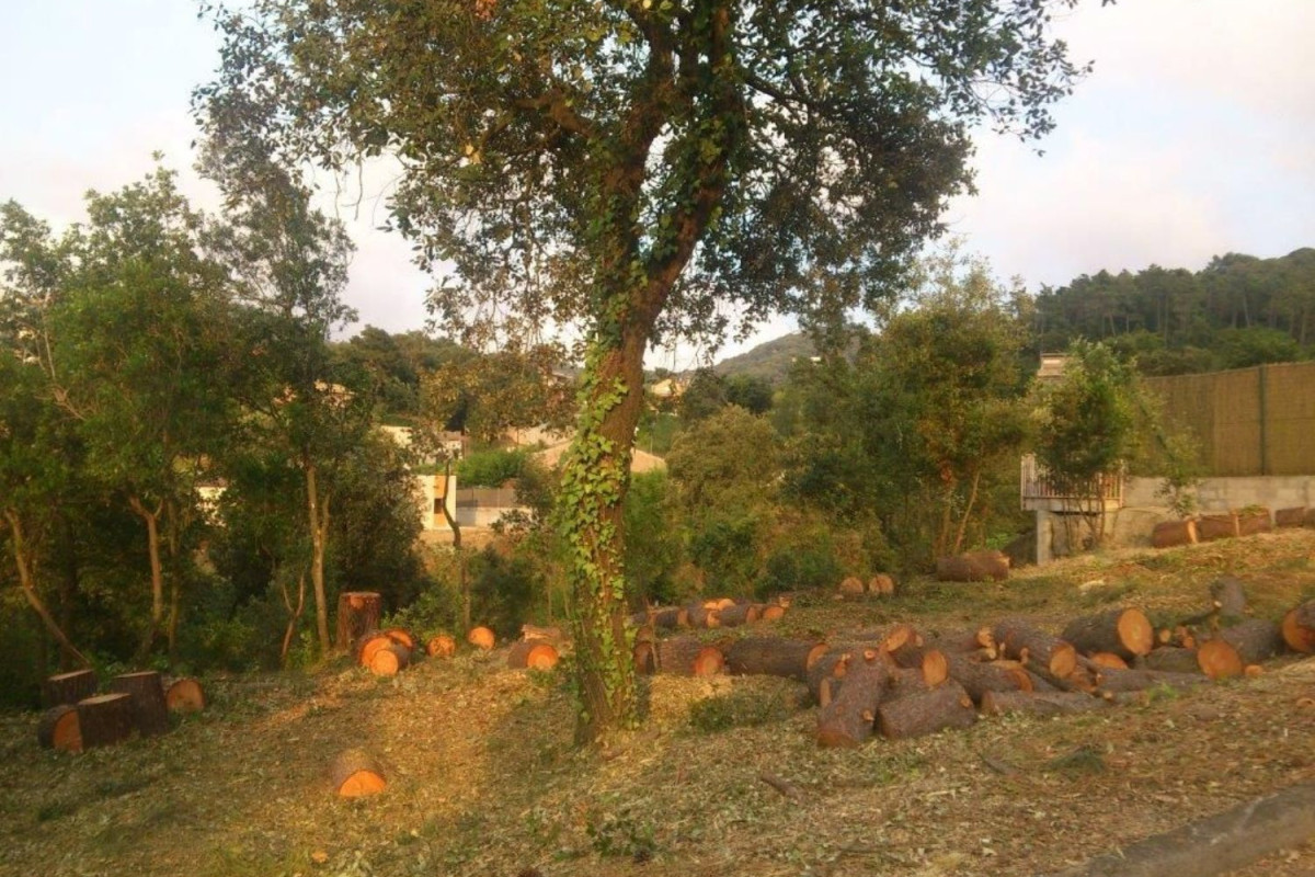 Terreno en venta en Sant Fost de Campsentelles, Barcelona photo 5