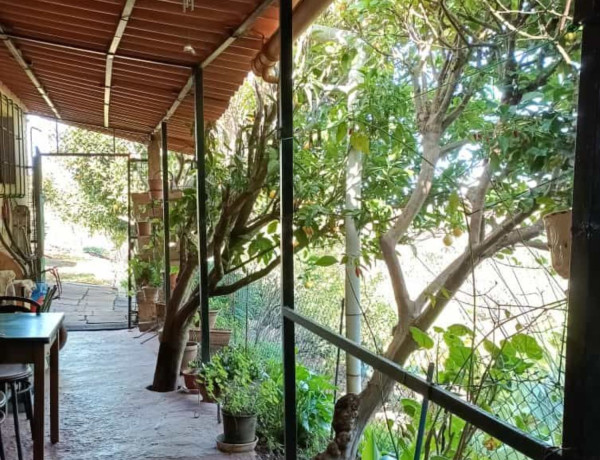 Finca rústica en venta en Hoya Del Pedregal photo 3