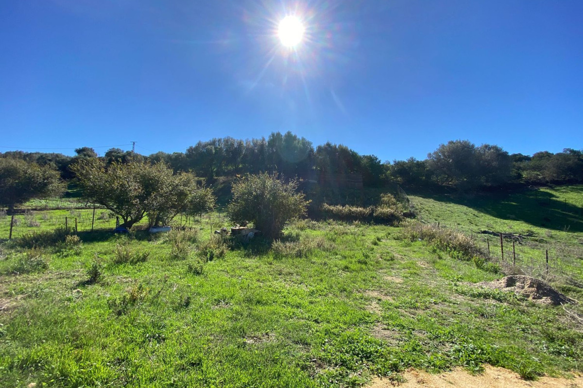 Land for sale in Vejer de la Frontera, Cádiz photo 4