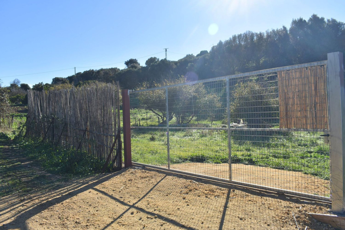 Land for sale in Vejer de la Frontera, Cádiz photo 5