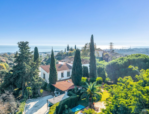 Detached villa for sale in Torrevigia, Estepona thumbnail 2