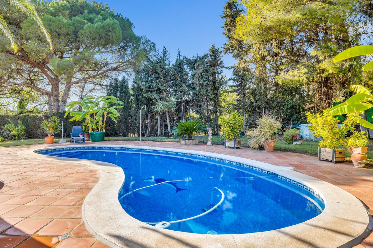 Sale of independent chalet in Torrevigia, Estepona
photo 4