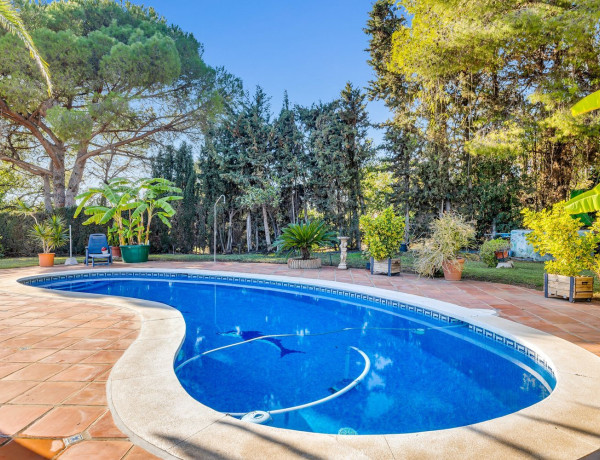 Detached villa for sale in  Torrevigia, Estepona photo 4