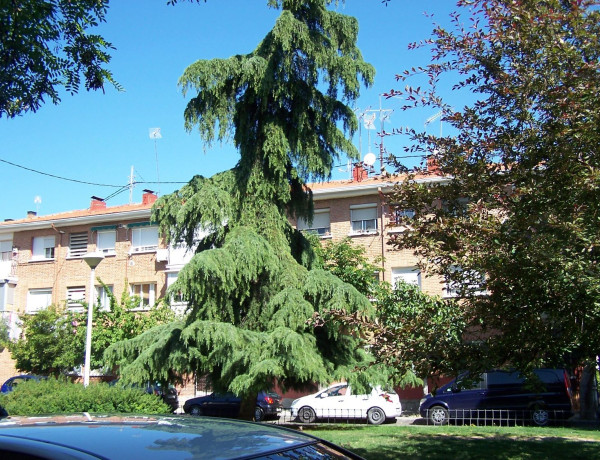 Продажа квартиры в Zona Pueblo , Pozuelo de Alarcón thumbnail 1
