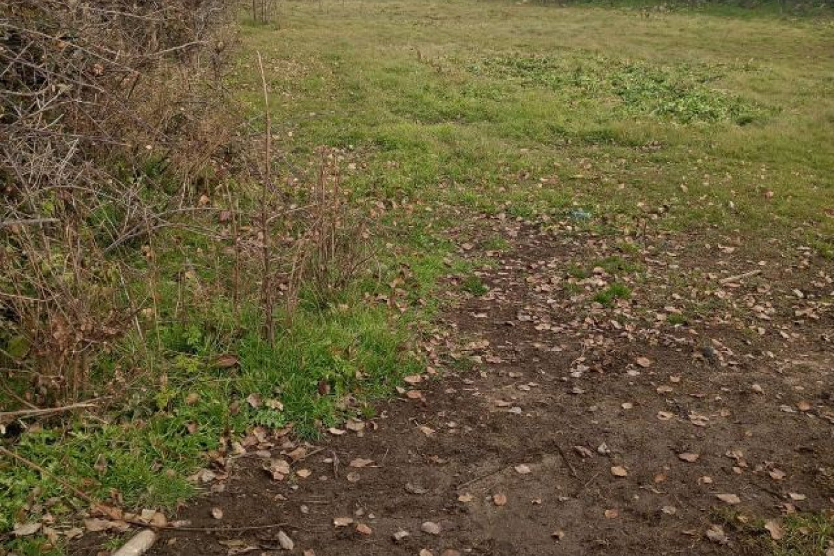 Terreno en venta en Navas de San Antonio, Segovia photo 2
