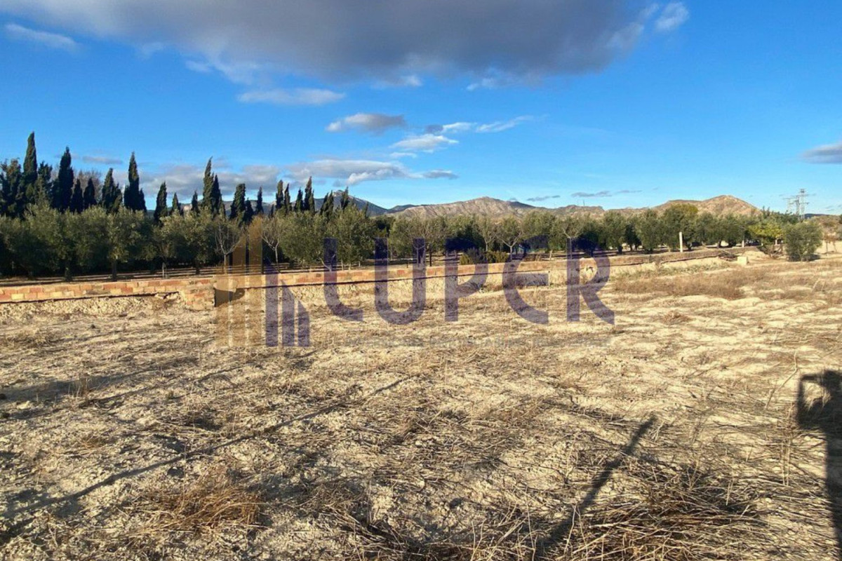 Land for sale in August, Alicante photo 2