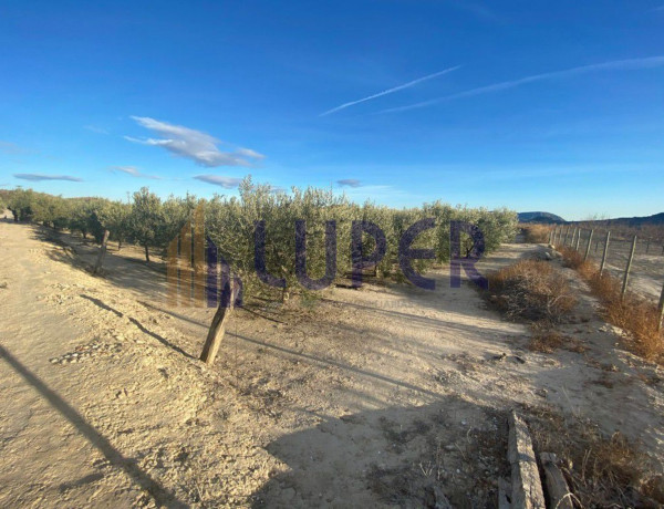 Terreno en venta en Agost photo 3