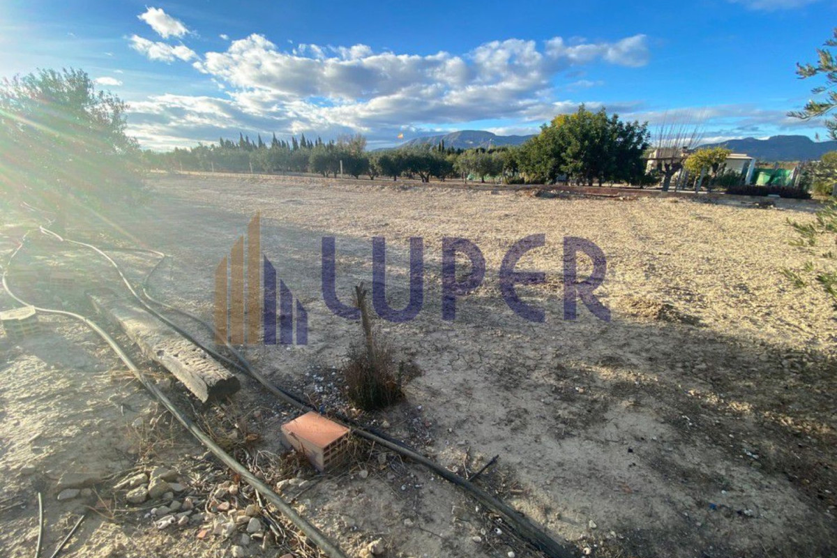 Land for sale in August, Alicante photo 4