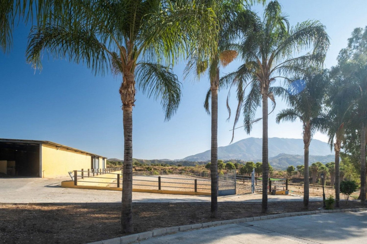 Venta de finca rústica en  La Cala Golf - Lagar Martell , Mijas photo 5