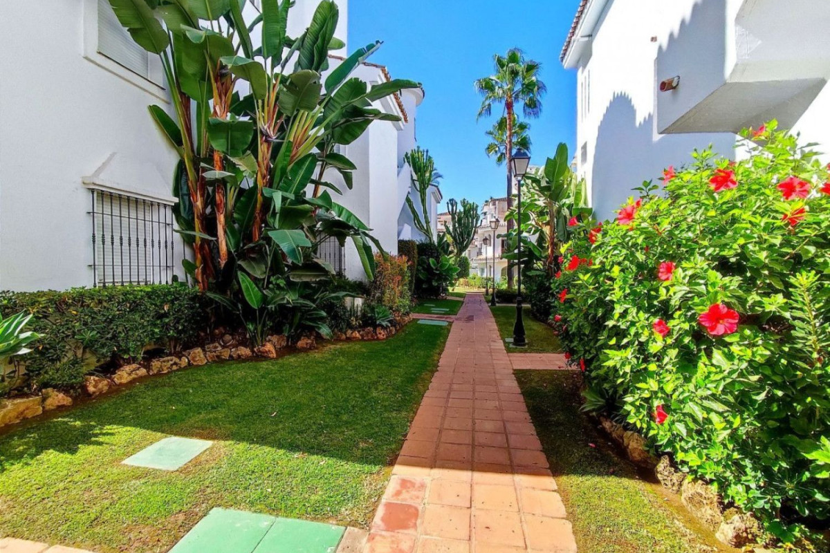 Venta de bajo en Urbanización Nueva Andalucía A, Marbella
 photo 3