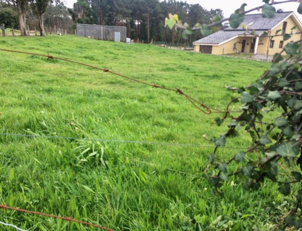 Terreno en venta en 333, 334 photo 3