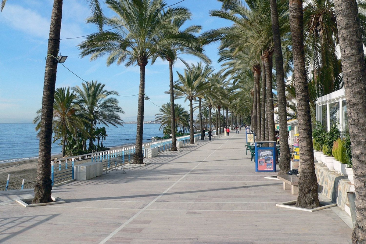 Sale of apartment in Avenida Arias Maldonado, Marbella
 photo 2