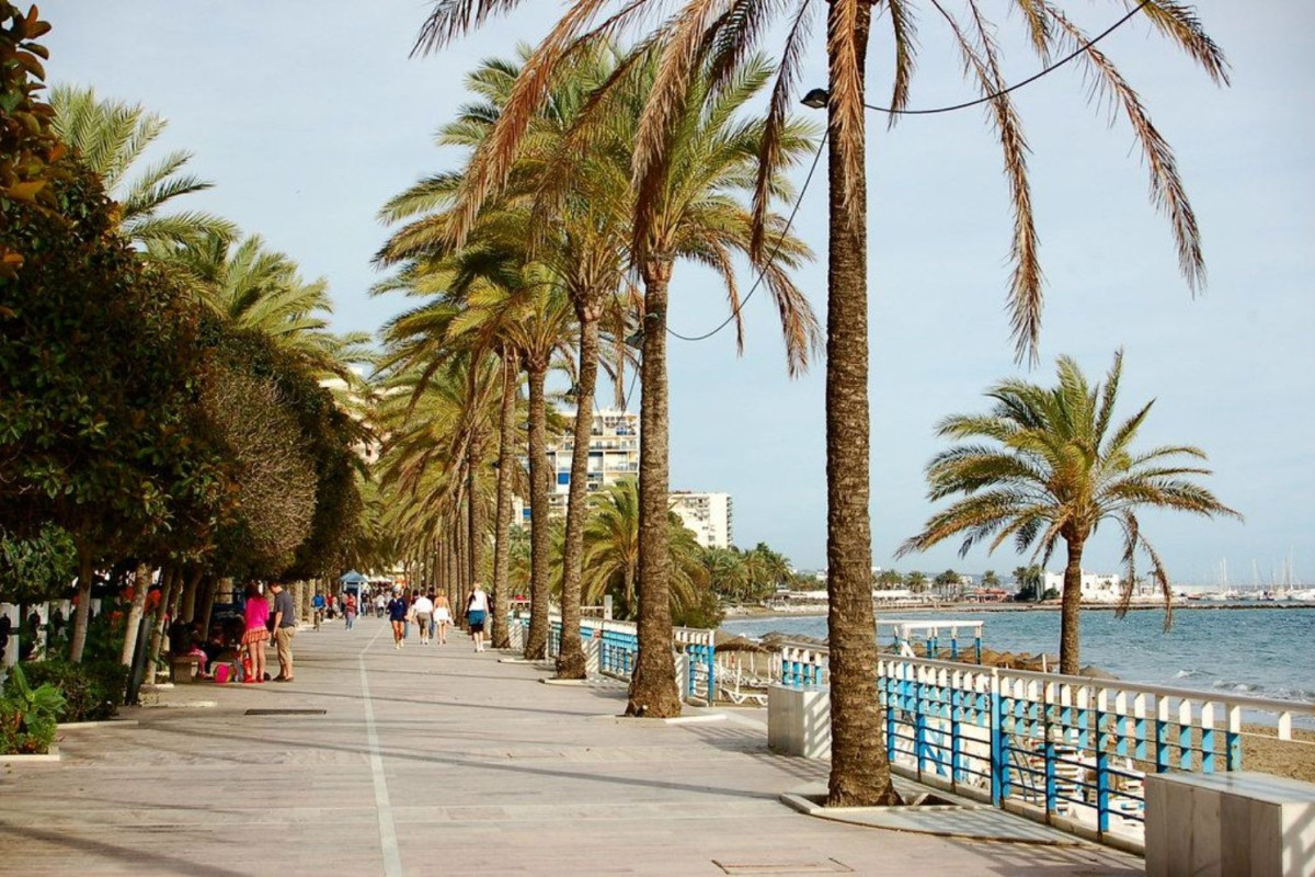 Sale of apartment in Avenida Arias Maldonado, Marbella
 photo 4