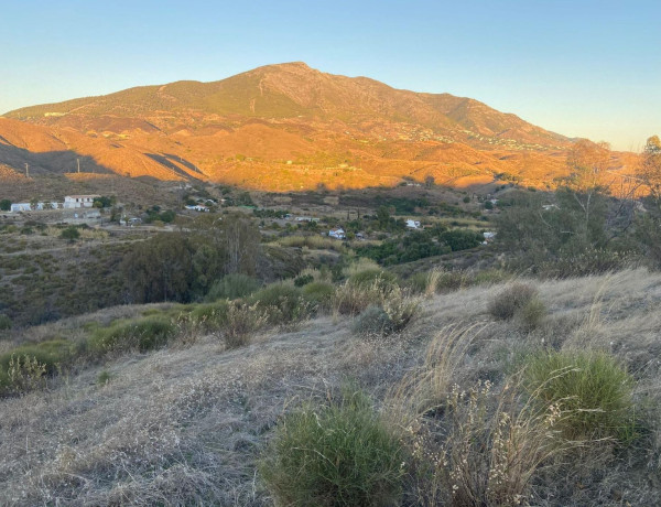 Terreno en venta en Buenavista-Lauro Golf photo 4