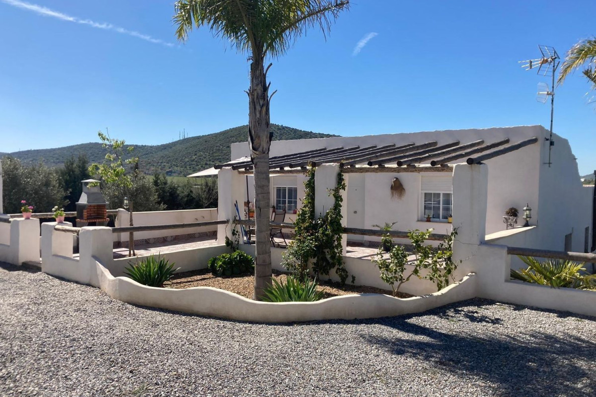 Properties for sale and rent in Spain photo 2