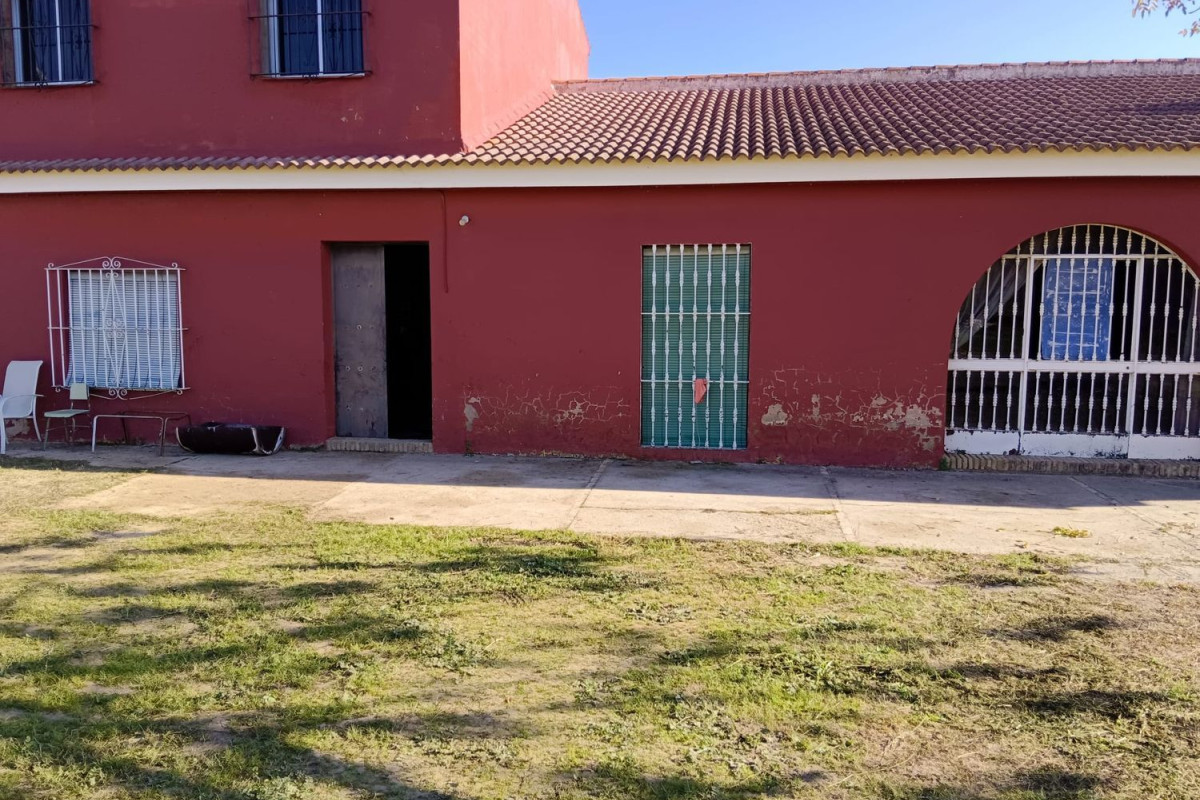 Casa o chalet independiente en venta en Pilas, Pilas
photo 3