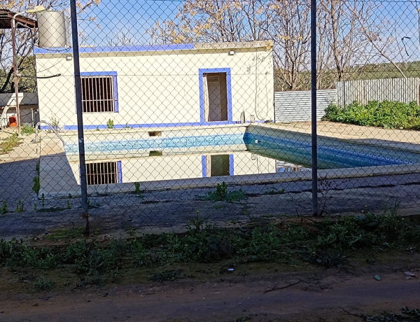 Chalet independiente en venta en , Pilas photo 4