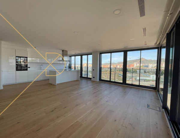 Пентхаус на продажу в Torreblanca - Pla del Vent , Sant Joan Despí photo 1