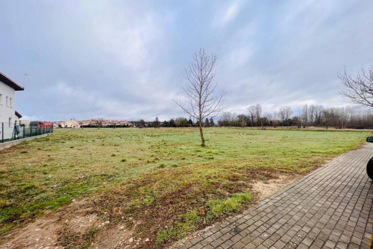 Land for sale in Cardeñajimeno, Burgos photo 4