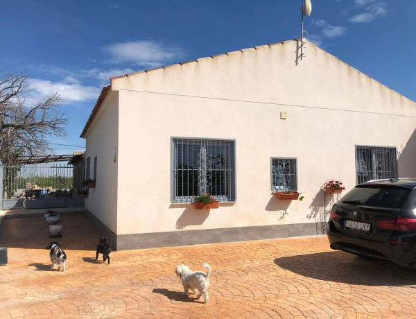 Finca rústica en venta en Callosa de Segura photo 4