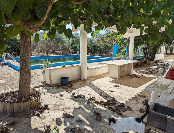 Casa rural en venta en Ulldecona photo 3