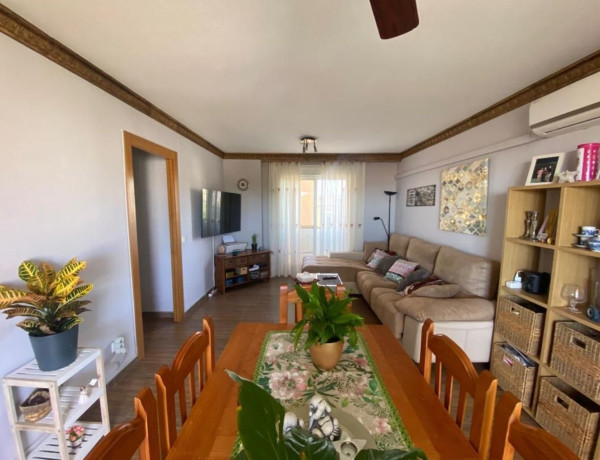Apartment for sale in  Campo de Mijas , Mijas photo 2
