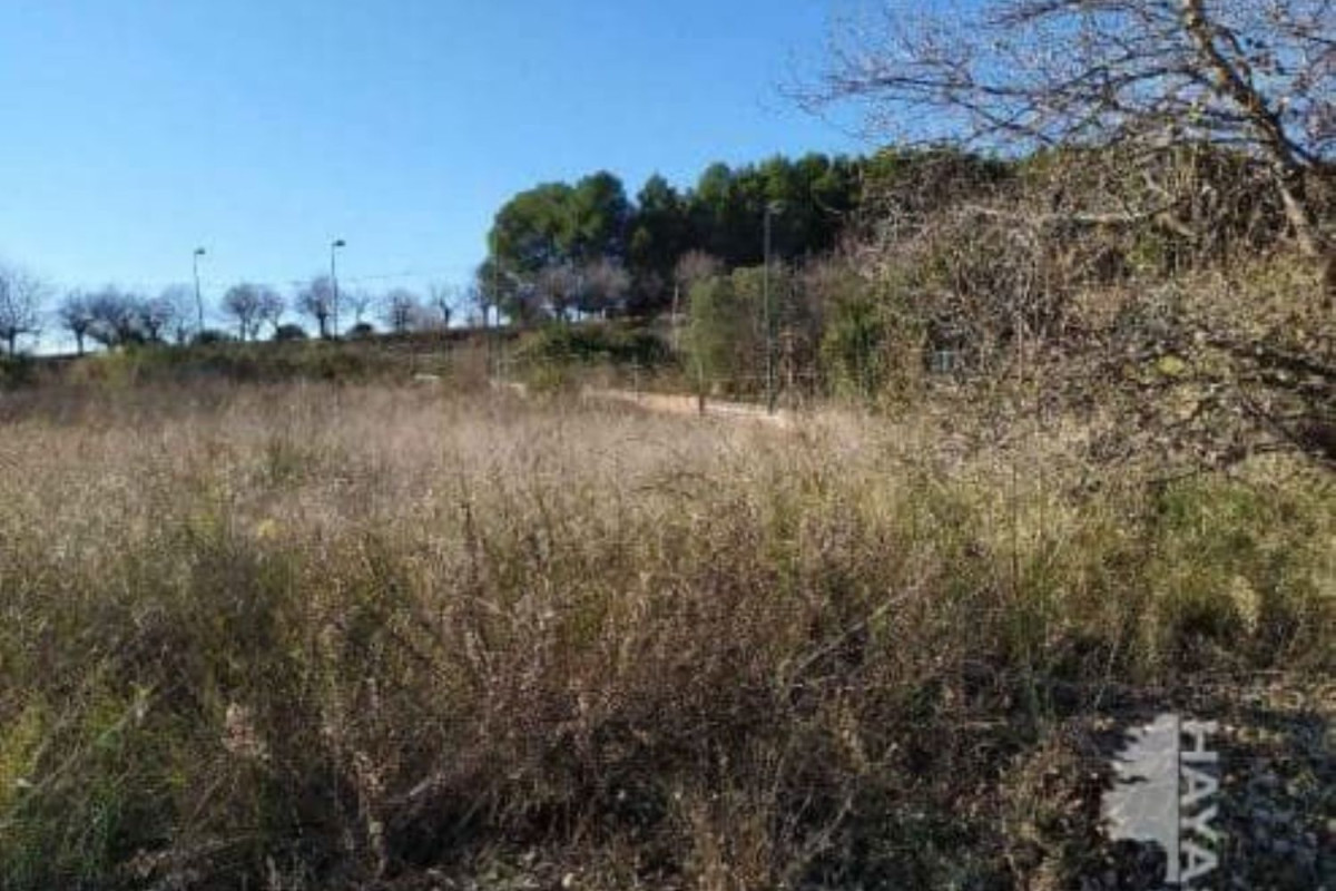 Land for sale in Sant Esteve Sesrovires, Barcelona photo 3