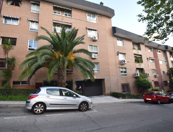 Продажа первого этажа в  Casco Antiguo , Majadahonda photo 2