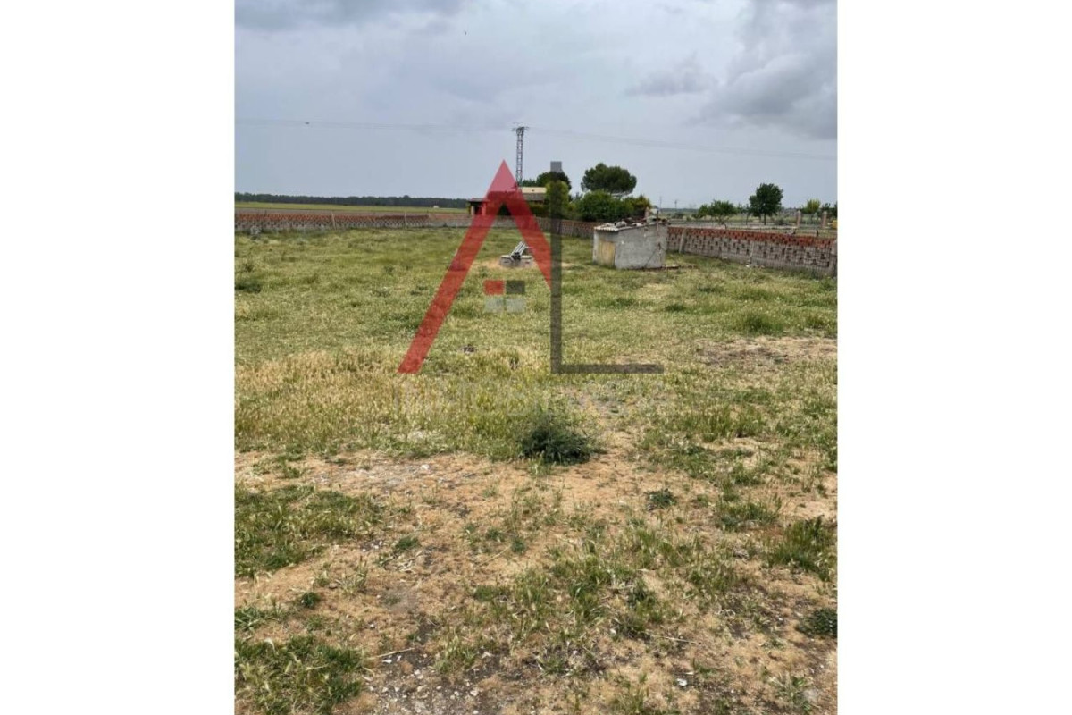 Działka na sprzedaż w Aguilafuente, Segowia photo 3