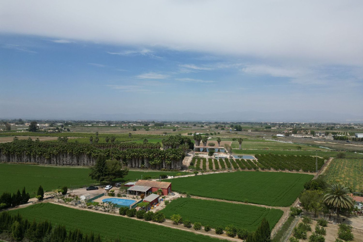 Casa o chalet independiente en venta en Partida Eralta, 59 a, Almoradí
 photo 4