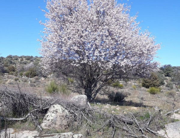 Terreno en venta en M-543, 543 M photo 3