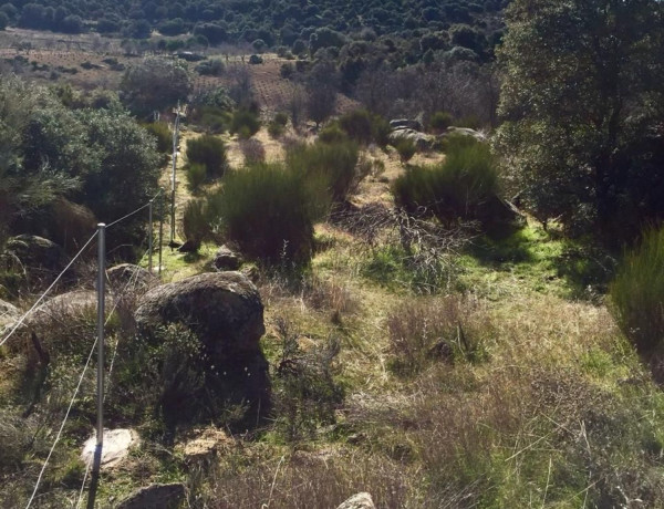 Terreno en venta en M-543, 543 M photo 4
